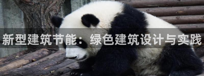e尊国际app：新型建筑节能：绿色建筑设计与实践