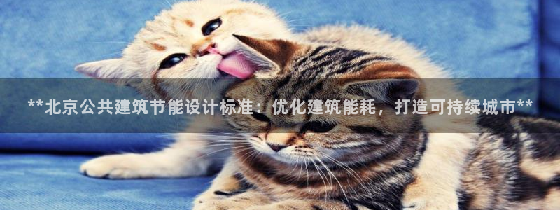 e尊体育：**北京公共建筑节能设计标准：优化建筑能耗，打造可持续城市**