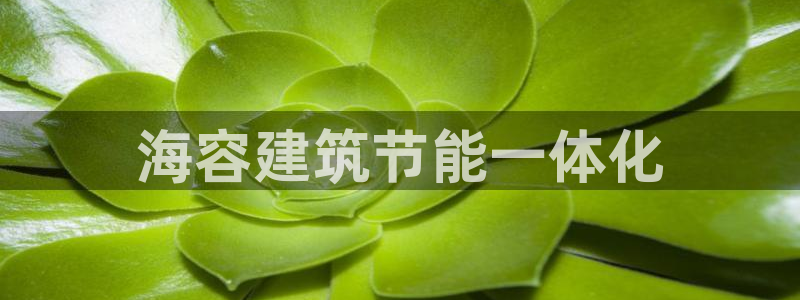 e尊平台：海容建筑节能一体化