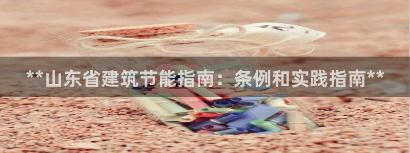 尊亿娱乐国际官网：**山东省建筑节能指南：条例和实践指南**