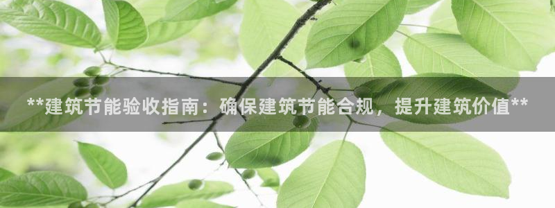 e尊国际是干什么的：**建筑节能验收指南：确保建筑节能合规，提升建筑价值**