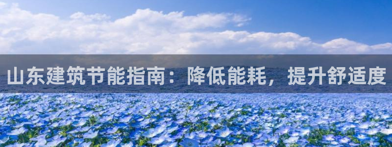 e尊国际官网app：山东建筑节能指南：降低能耗，提升舒适度