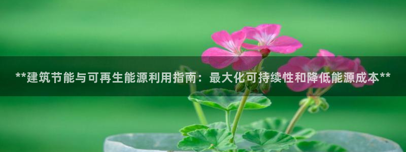e尊国际-可可计划：**建筑节能与可再生能源利用指南：最大化可持续性和降低能源成本**