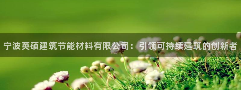 谁知道e尊国际的网址：宁波英硕建筑节能材料有限公司：引领可持续建筑的创新者