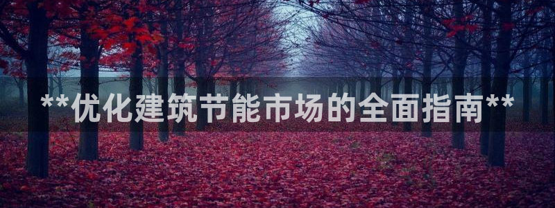 e尊国际-可可计划：**优化建筑节能市场的全面指南**