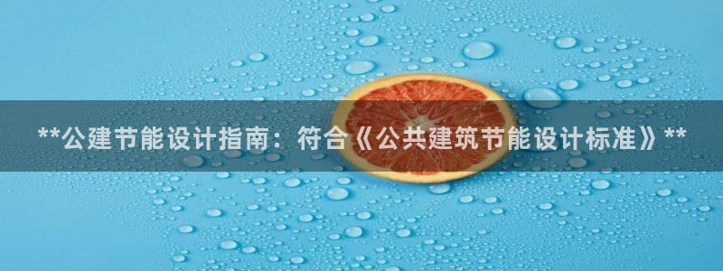 e尊平台：**公建节能设计指南：符合《公共建筑节能设计标准》**