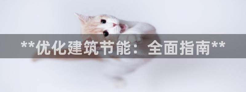e尊国际网址：**优化建筑节能：全面指南**