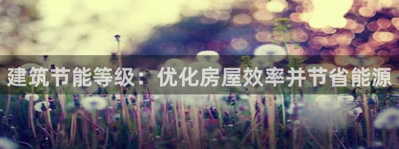 e尊国际官方网站：建筑节能等级：优化房屋效率并节省能源