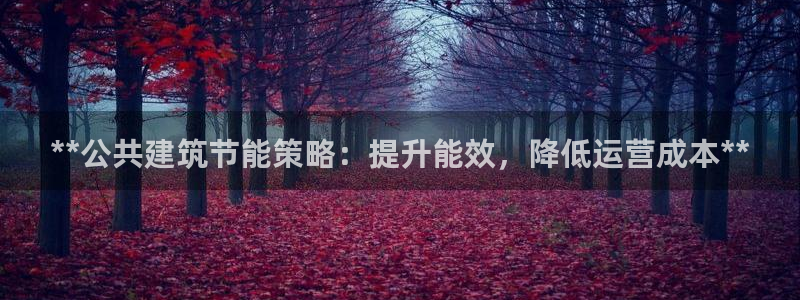 E尊国际：**公共建筑节能策略：提升能效，降低运营成本**