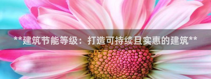 e尊国际客户端下载：**建筑节能等级：打造可持续且实惠的建筑**
