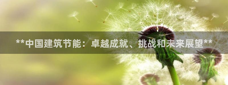 E尊国际网站：**中国建筑节能：卓越成就、挑战和未来展望**