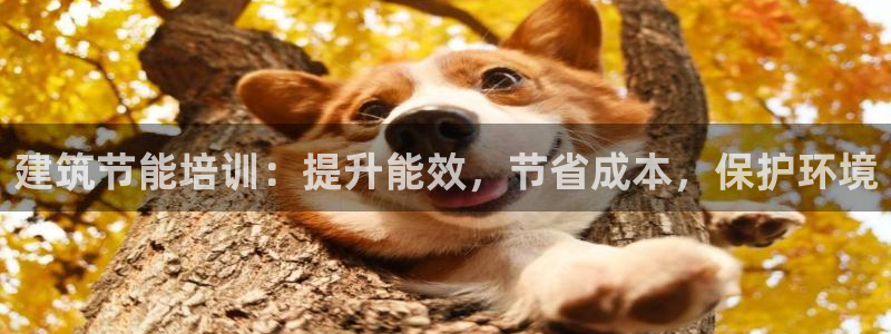 e尊国际app：建筑节能培训：提升能效，节省成本，保护环境
