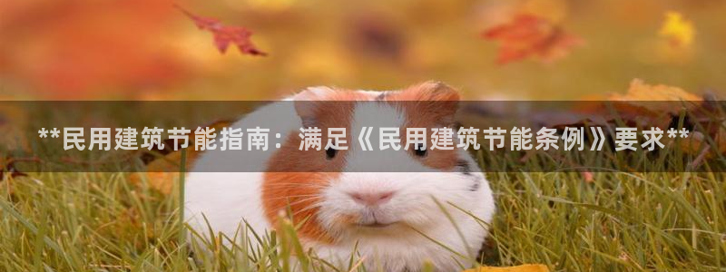 尊亿游戏国际官网：**民用建筑节能指南：满足《民用建筑节能条例》要求**