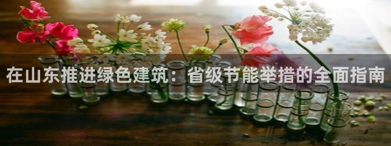 e尊国际是干什么的：在山东推进绿色建筑：省级节能举措的全面指南