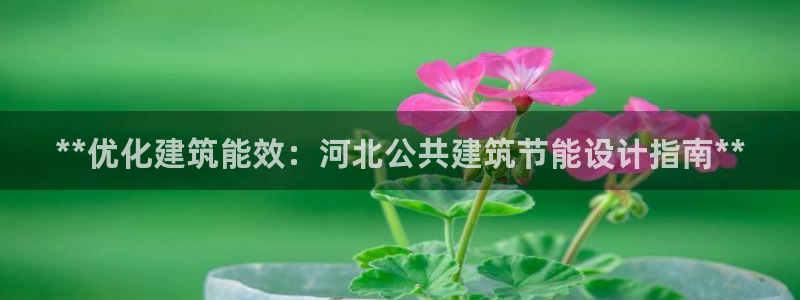 e尊国际7779：**优化建筑能效：河北公共建筑节能设计指南**