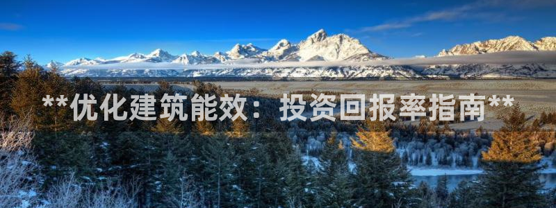 e尊国际网址：**优化建筑能效：投资回报率指南**