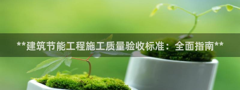 e尊国际7779：**建筑节能工程施工质量验收标准：全面指南**