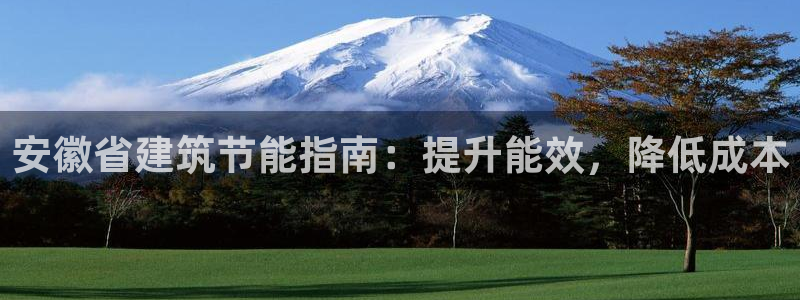 e尊国际是个黑网：安徽省建筑节能指南：提升能效，降低成本