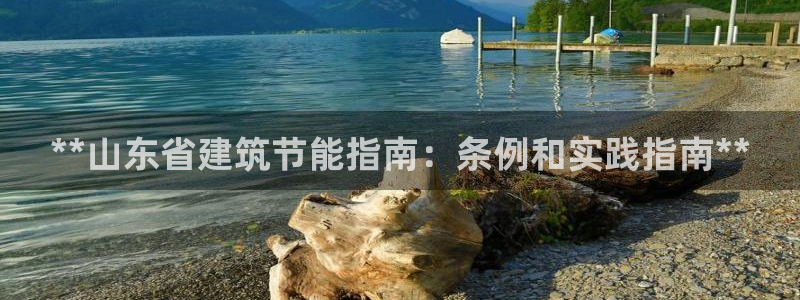 e尊体育：**山东省建筑节能指南：条例和实践指南**