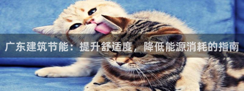 e尊国际客户端下载：广东建筑节能：提升舒适度，降低能源消耗的指南