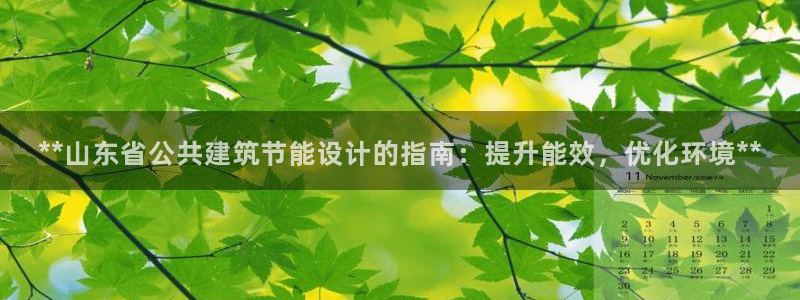 e尊国际-e尊国际官网：**山东省公共建筑节能设计的指南：提升能效，优化环境**