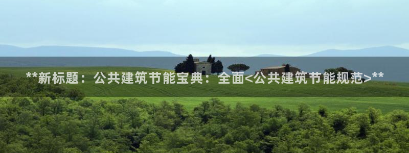e尊国际官方网站：**新标题：公共建筑节能宝典：全面<公共建筑节能规范>**