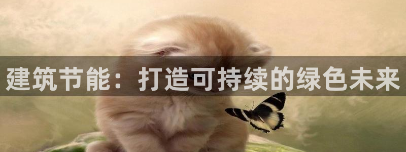 E尊国际网站：建筑节能：打造可持续的绿色未来