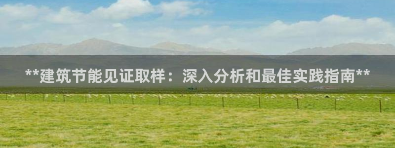 e尊国际网址：**建筑节能见证取样：深入分析和最佳实践指南**