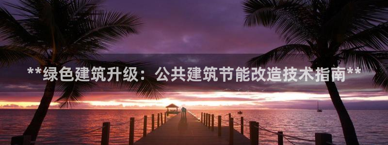 E尊国际网站：**绿色建筑升级：公共建筑节能改造技术指南**