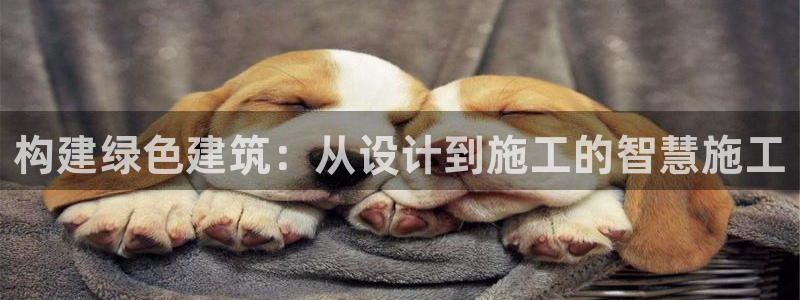 e尊国际客户端：构建绿色建筑：从设计到施工的智慧施工