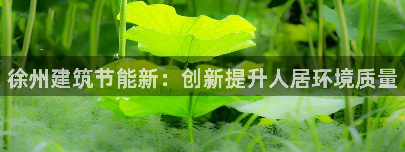 e尊国际可靠吗：徐州建筑节能新：创新提升人居环境质量