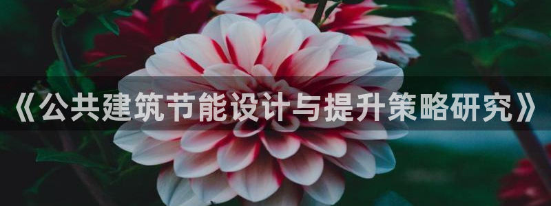 e尊国际地址：《公共建筑节能设计与提升策略研究》