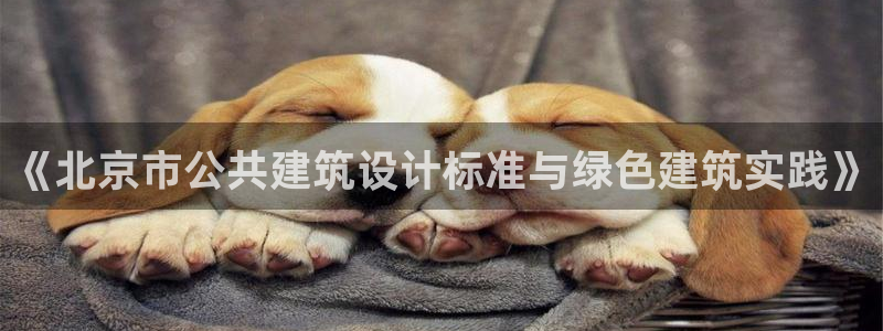 E尊国际网站：《北京市公共建筑设计标准与绿色建筑实践》
