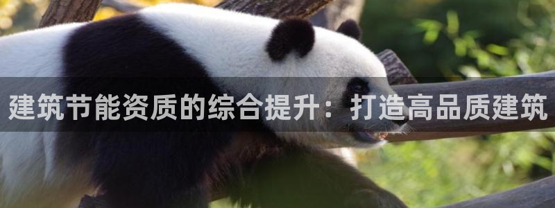 E尊国际：建筑节能资质的综合提升：打造高品质建筑