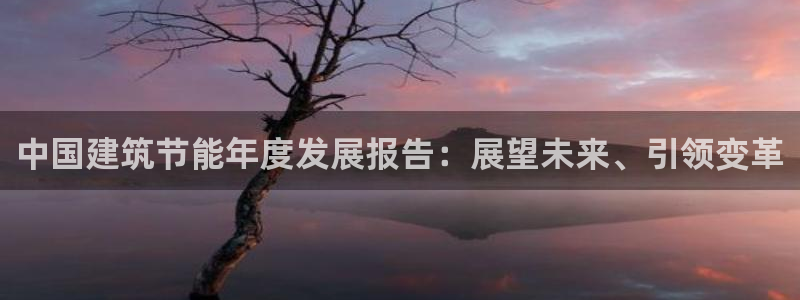 e尊国际平台：中国建筑节能年度发展报告：展望未来、引领变革
