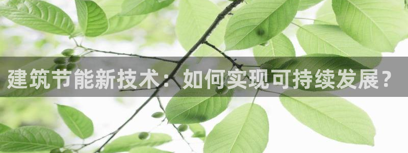 e尊国际-可可计划：建筑节能新技术：如何实现可持续发展？