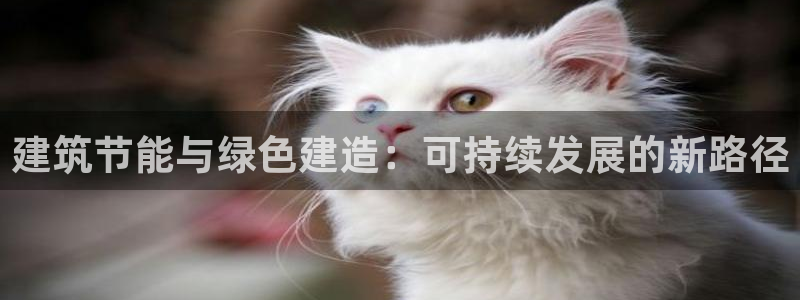 E尊国际网站：建筑节能与绿色建造：可持续发展的新路径