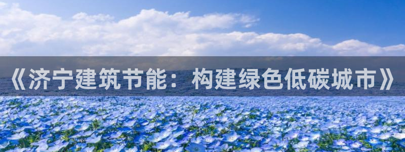 e尊国际客户端：《济宁建筑节能：构建绿色低碳城市》