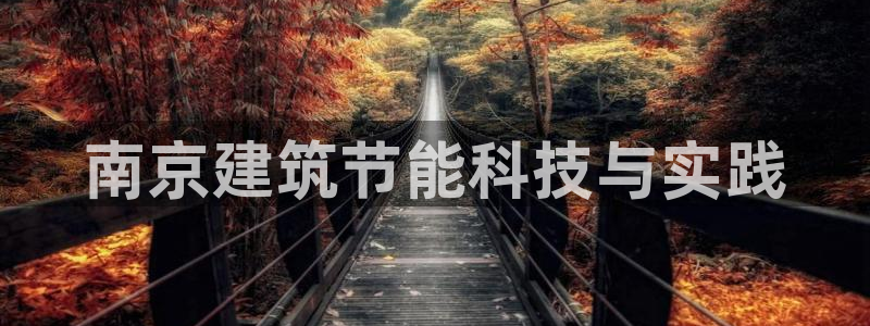 e尊国际7779：南京建筑节能科技与实践