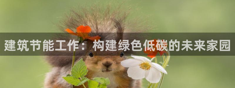 尊亿娱乐国际官网：建筑节能工作：构建绿色低碳的未来家园