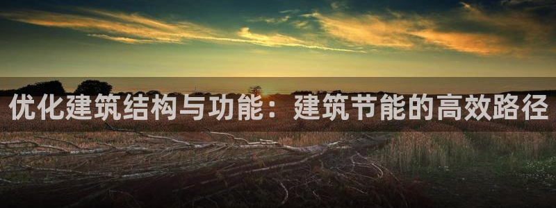 谁知道e尊国际的网址：优化建筑结构与功能：建筑节能的高效路径