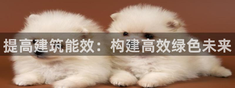 e尊国际网址：提高建筑能效：构建高效绿色未来