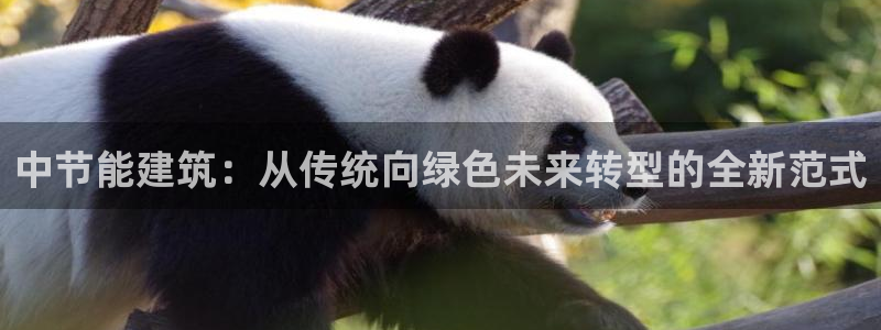 e尊国际-e尊国际官网：中节能建筑：从传统向绿色未来转型的全新范式