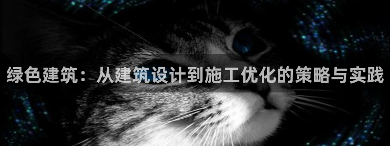 e尊国际是干什么的：绿色建筑：从建筑设计到施工优化的策略与实践