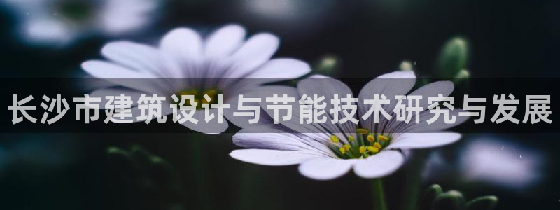 e尊国际客户端下载：长沙市建筑设计与节能技术研究与发展