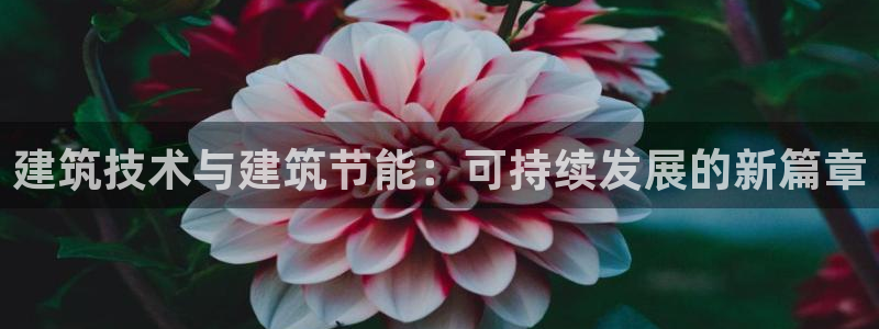 e尊国际平台：建筑技术与建筑节能：可持续发展的新篇章