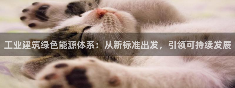 e尊国际平台：工业建筑绿色能源体系：从新标准出发，引领可持续发展