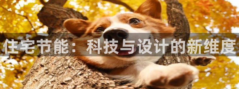 e尊国际app：住宅节能：科技与设计的新维度