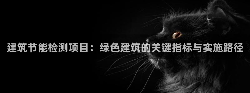 e尊国际客户端：建筑节能检测项目：绿色建筑的关键指标与实施路径