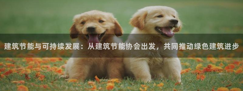 e尊国际的手机登录网站：建筑节能与可持续发展：从建筑节能协会出发，共同推动绿色建筑进步